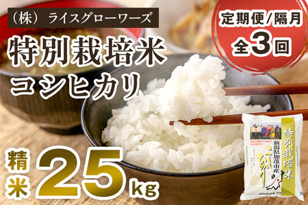 【令和7年産】【定期便3回隔月お届け】新潟県加茂市産 特別栽培米コシヒカリ 精米25kg（5kg×5）《順次出荷》 （株）ライスグローワーズ