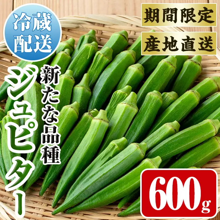 いずみ産 オクラ 新たな品種・ジュピター 600g 【イーサイドライン】 i1216-A