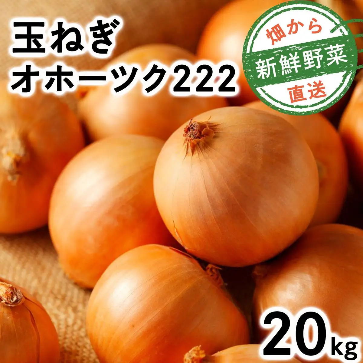 【先行予約】畑から直送の新鮮野菜!玉ねぎ(オホーツク222) 20kg [a168-006] 