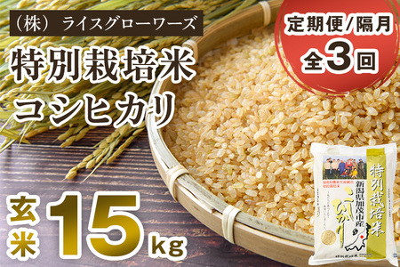 【令和7年産】【定期便3回隔月お届け】新潟県加茂市産 特別栽培米コシヒカリ 玄米15kg（5kg×3）《順次出荷》 従来品種コシヒカリ （株）ライスグローワーズ
