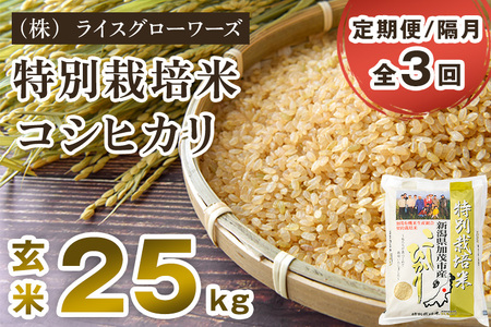 【令和7年産】【定期便3回隔月お届け】新潟県加茂市産 特別栽培米コシヒカリ 玄米25kg（5kg×5）《順次出荷》 従来品種コシヒカリ （株）ライスグローワーズ