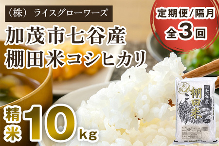 【令和7年産】【定期便3回隔月お届け】七谷産 棚田米コシヒカリ 精米10kg（5kg×2）《順次出荷》 白米 （株）ライスグローワーズ