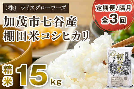 【令和7年産】【定期便3回隔月お届け】七谷産 棚田米コシヒカリ 精米15kg（5kg×3）《順次出荷》 白米 （株）ライスグローワーズ