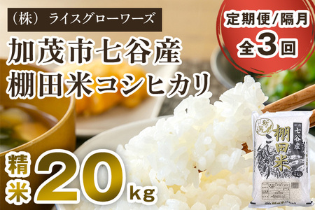 【令和7年産】【定期便3回隔月お届け】七谷産 棚田米コシヒカリ 精米20kg（5kg×4）《順次出荷》 白米 （株）ライスグローワーズ