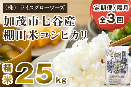 【令和7年産】【定期便3回隔月お届け】七谷産 棚田米コシヒカリ 精米25kg（5kg×5）《順次出荷》 白米 （株）ライスグローワーズ
