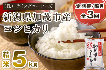【令和7年産】【定期便3回隔月お届け】新潟県加茂市産コシヒカリ 精米5kg《順次出荷》 白米 （株）ライスグローワーズ