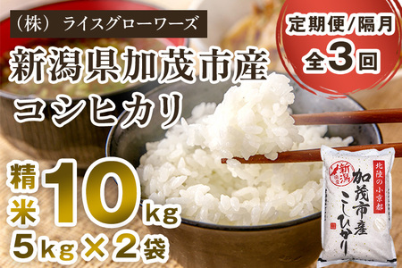 【令和7年産】【定期便3回隔月お届け】新潟県加茂市産コシヒカリ 精米10kg（5kg×2）《順次出荷》 白米 （株）ライスグローワーズ