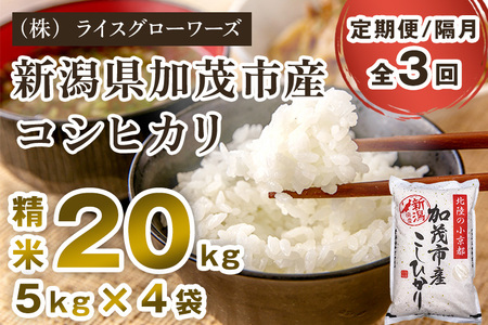 【令和7年産】【定期便3回隔月お届け】新潟県加茂市産コシヒカリ 精米20kg（5kg×4）《順次出荷》 白米 （株）ライスグローワーズ