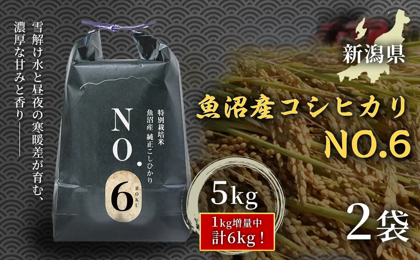 魚沼産コシヒカリNo.6 10kg(5kg×2袋)|津南町 魚沼 令和7年
