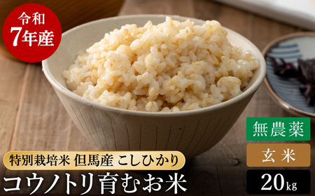 令和7年産 無農薬 玄米 20kg コウノトリ育むお米 但馬産 こしひかり 兵庫県産 (5kg×4袋) 無農薬 お米 20キロ 玄米 コウノトリ米 コシヒカリ 農薬不使用 特別栽培米 予約 コメ こめ ご飯 ライス 無農薬米
