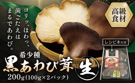 きのこ 希少種 黒あわび茸 生 200g ( 100g × 2パック ) 