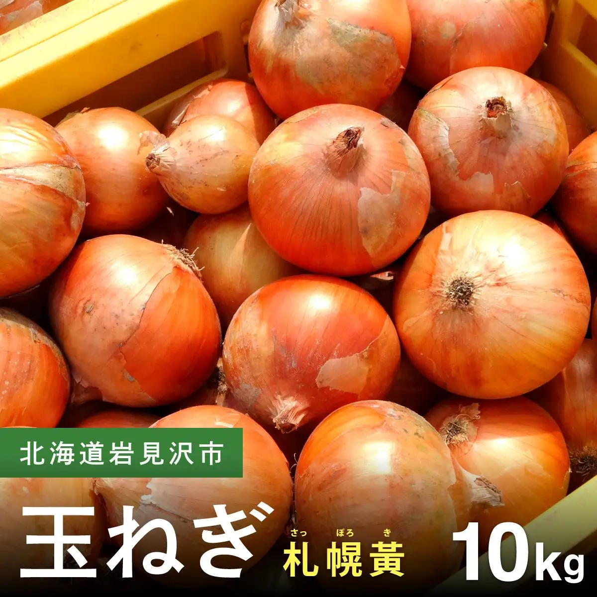 【先行予約】幻の玉ねぎ！札幌黄（さっぽろき）10kg [a168-011] 