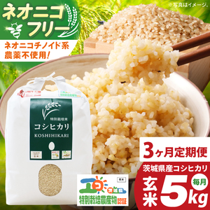 【3ヶ月定期便】令和7年産 茨城県特別栽培米コシヒカリ ネオニコフリー玄米5kg｜米 おこめ こしひかり 農家直送 直送 茨城県 阿見町（04-31）