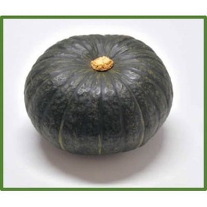 大潟村産かぼちゃ「くり大将」約2.5kg【配送不可地域：離島・沖縄県】【1629936】