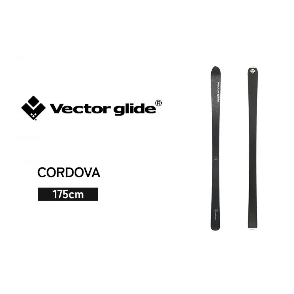 【VECTOR GLIDE】スキー板 CORDOVA 175cm | スキー板 ノーマルキャンバー フリーライド グルームバーン