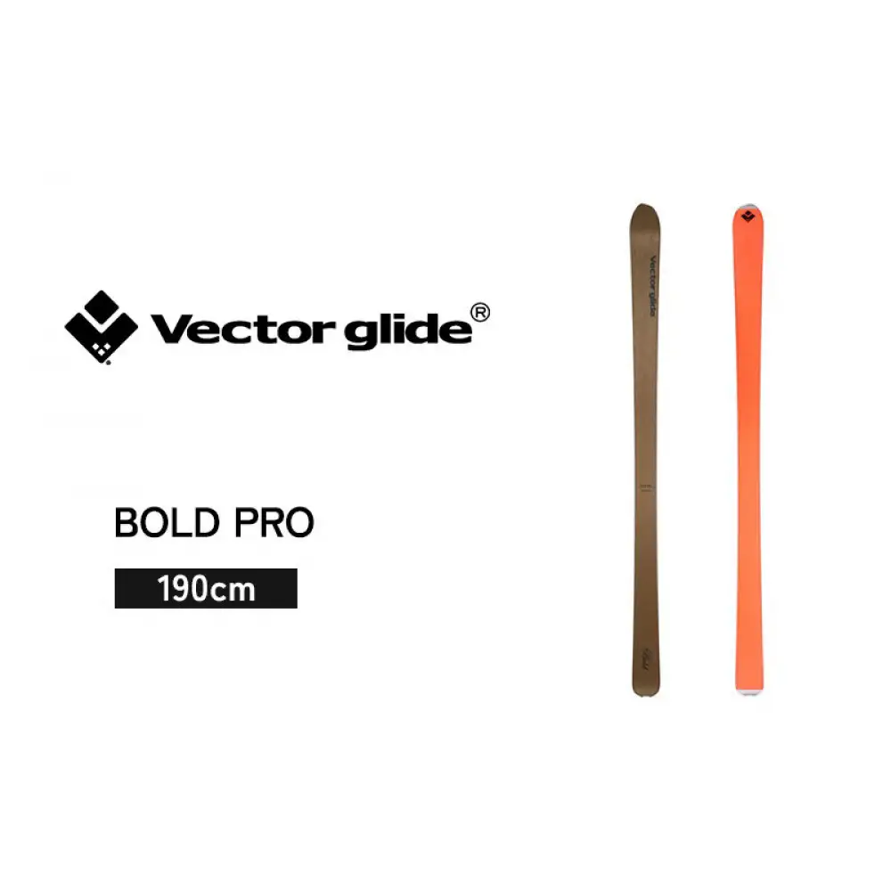 【VECTOR GLIDE】スキー板 BOLD PRO 190cm | スキー板 ノーマルキャンバー フリーライド 悪雪
