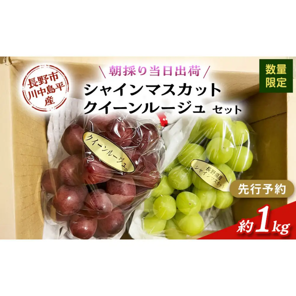 【セット】シャインマスカット、クイーンルージュセット　約1kg（2房） |ぶどう シャインマスカット フルーツ 