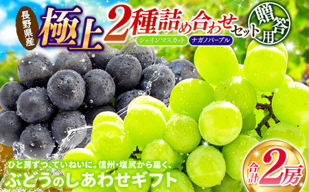 【先行予約】贈答用 信州産 葡萄【詰め合わせ】2房 【シャインマスカット、ナガノパープル】 