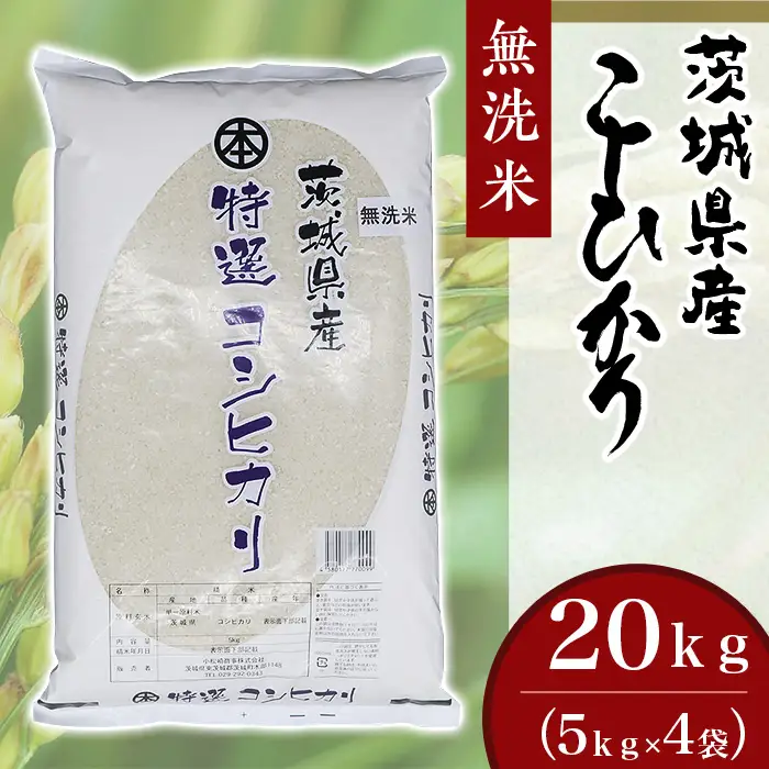 こしひかり 無洗米 20kg 茨城県産 令和7年産【小松崎商事】728