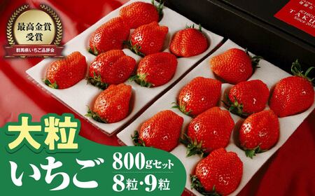 いちご やよいひめ 大粒セット 約800g 群馬県いちご品評会最高金賞 2027年 先行予約 | いちご