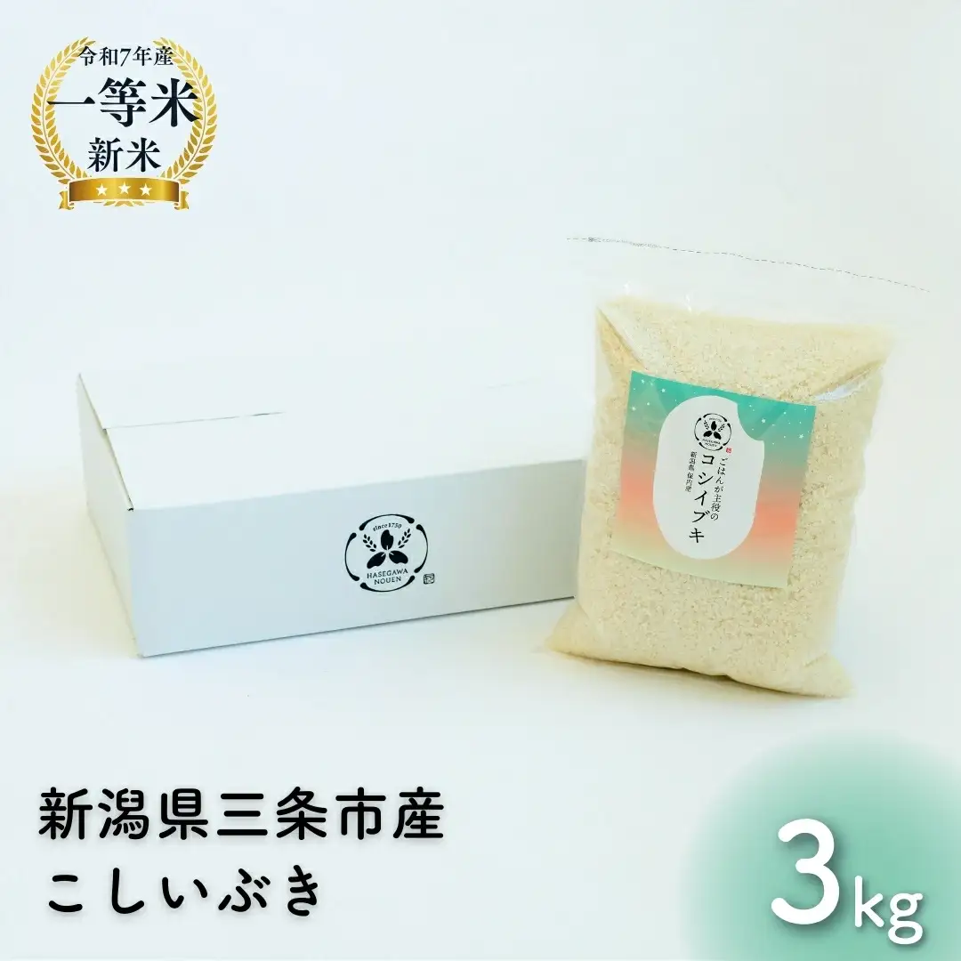 新潟県産こしいぶき 3kg 1等米 2025年産 三条市保内産 精米 白米 令和7年産 米 [はせがわ農園]【010S842】