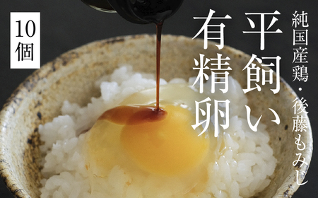 平飼い有精卵10個｜放し飼い・新鮮卵・少量お試し（西粟倉村）【配送不可地域：沖縄・離島】t-SS-AlDA
