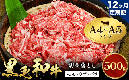 【12ヶ月定期便】牛肉 黒毛和牛 切り落とし 小分け 500g A4 A5 田中畜産 《お申込み月の翌月から出荷》 熊本県 苓北町 ミシュラン ビブグルマン 国産 肉 黒毛 和牛 赤身 カレー 肉じゃが 牛丼 煮込み 便利 使い勝手抜群 天草 産地直送