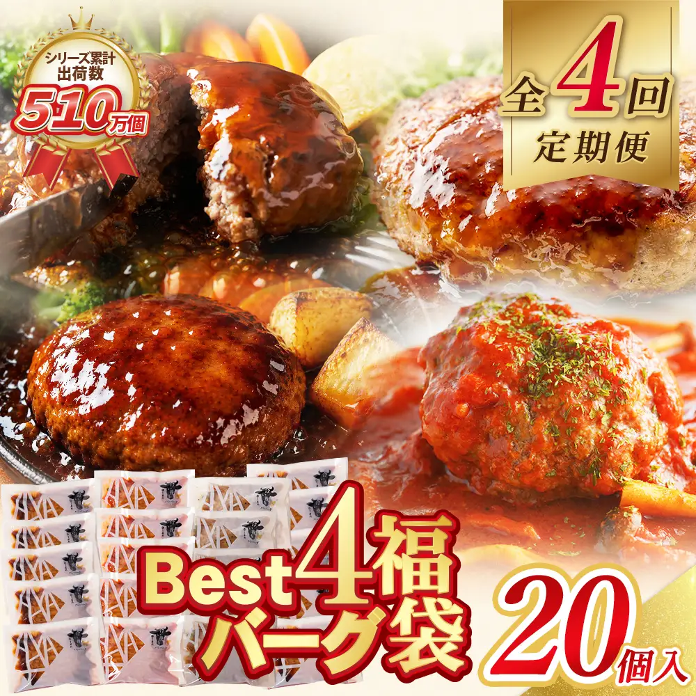 Z61-88 寄附額改定↓↓ 【4回定期便】Best4バーグ ハンバーグ 20個【合挽4種･各5個】 ハンバーグ