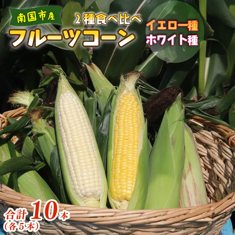 【先行予約】とうもろこし 2種食べ比べ 合計10本 (イエロー ホワイト) とうもろこし フルーツコーン