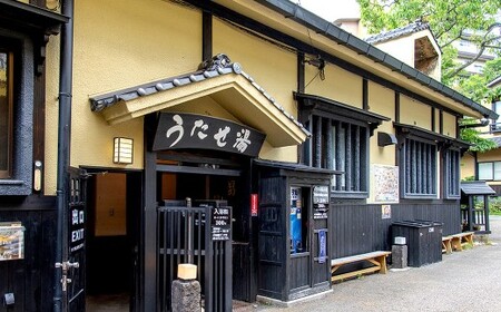 筋湯温泉 宿泊割引券 44,000円分 宿泊 割引券 割引 券 宿 お宿 ホテル 温泉施設 温泉 大分県 九重町