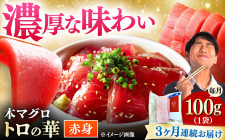 【全3回定期便】対馬産 本マグロ 赤身100g ≪対馬市≫【桐谷商店】 トロの華 対馬 新鮮 マグロ 赤身 鮪 刺身[WAQ108]
