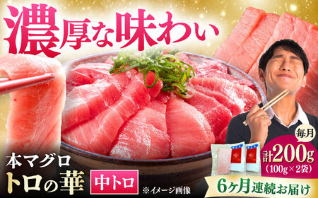【全6回定期便】対馬産 本マグロ 中トロ200g ≪対馬市≫【桐谷商店】 トロの華 対馬 新鮮 マグロ 中トロ トロ 鮪 刺身[WAQ121]
