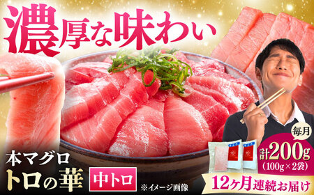 【全12回定期便】対馬産 本マグロ 中トロ200g ≪対馬市≫【桐谷商店】 トロの華 対馬 新鮮 マグロ 中トロ トロ 鮪 刺身[WAQ122]