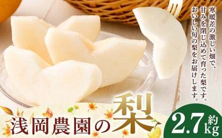 浅岡農園の梨 約2.7kg 梨 なし ナシ くだもの 果物 フルーツ 果実 和梨 王秋 にっこり 愛宕 大分県 九重町 【2026年11月下旬発送予定】