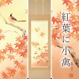 掛け軸「紅葉に小禽」 富岡蘇峰 尺五立 サイズ：54.5×190cm 桐箱付 掛け軸 表装 床の間