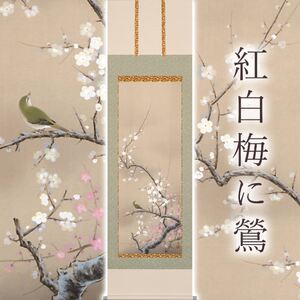 掛け軸「紅白梅に鶯」 北条静香 尺五立 サイズ：54.5×190cm 桐箱付 掛け軸 和室 おしゃれ 日本画 表装 床の間