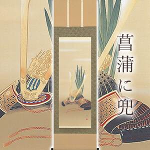 掛け軸「菖蒲に兜」 富岡蘇峰 尺五立 サイズ：54.5×190cm 桐箱付 掛け軸 和室 おしゃれ 日本画 表装 床の間