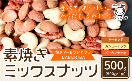 素焼き ミックス ナッツ 500g 1袋 アーモンド カシューナッツ ピーカンナッツ 詰め合わせ 熊本 産山村 無塩 備蓄食 常備食 大容量 人気 おつまみ お中元 お歳暮 贈答 ギフト《30日以内に出荷予定(土日祝除く)》