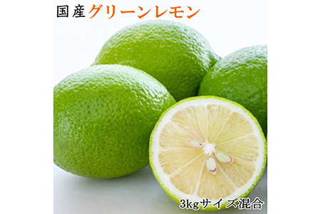 【産地直送】和歌山産グリーンレモン約3kg (サイズ混合)