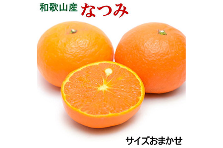 【先行予約】【希少柑橘】なつみ 和歌山県産 約5kg（S～2Lサイズおまかせ）