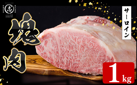塊肉シリーズ サーロイン 計1kg(1kg×1個) wa42-001