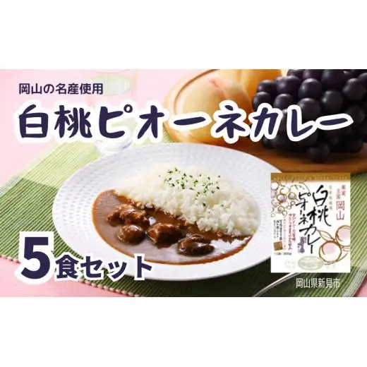 白桃ピオーネカレー レトルト 5食セット