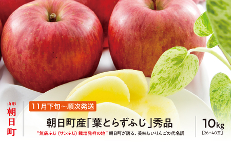 ＜ 先行予約 ＞ りんご 葉取らず ふじ 秀品 約 10kg 26～40玉 【2026年11月下旬から12月下旬発送】 山形県 朝日町産 山形県産 果物 フルーツ リンゴ 林檎 秋 冬