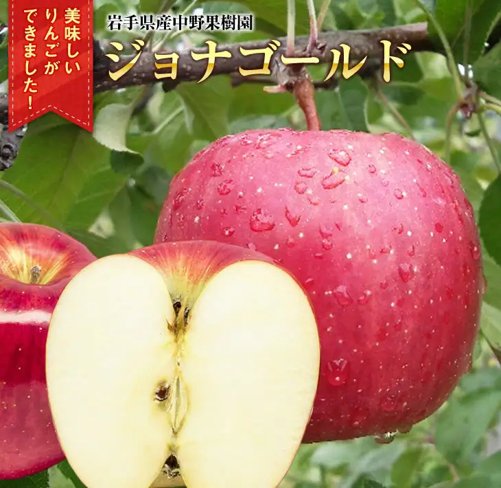 中野果樹園のジョナゴールド5kg（16～20個入り）/ジョナゴールド 送料無料 矢巾町産 りんご 予約 蜜 ジュース 甘い 酸味 贈答 ギフト プレゼント リンゴ 林檎 果物 くだもの フルーツ 岩手県 矢巾町