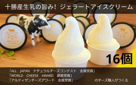 十勝産生乳の旨み！ジェラートアイスクリーム 16個セット CAMEMBERT（カマンベール）[027-0272]