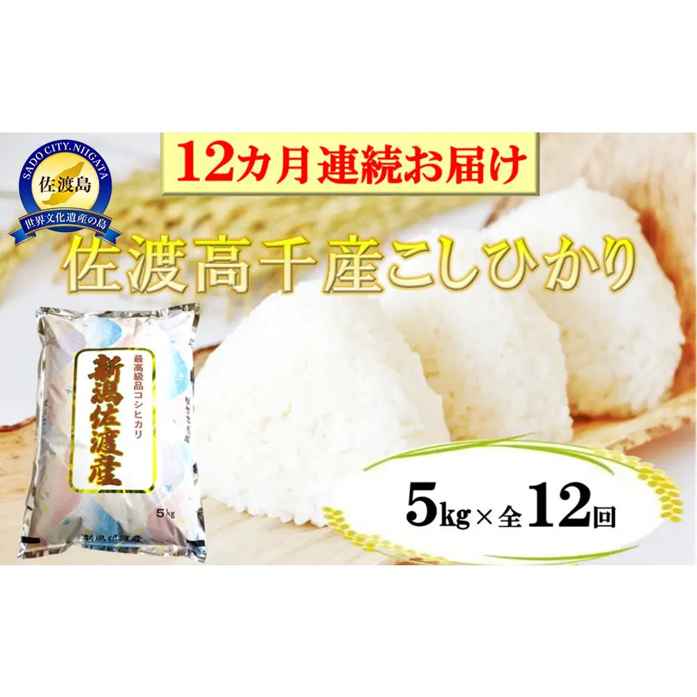 【定期便】佐渡産高千産こしひかり 精米5kg【12ヶ月連続お届け】