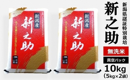 【令和7年産米】真空パック 特別栽培米 新之助 無洗米 10kg（5kg×2袋） 山波農場のお米 新潟県産 [Y0593]