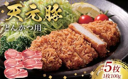 天元豚とんかつ用100g×5 F2Y-6599