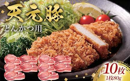 天元豚とんかつ用80g×10 F2Y-6602