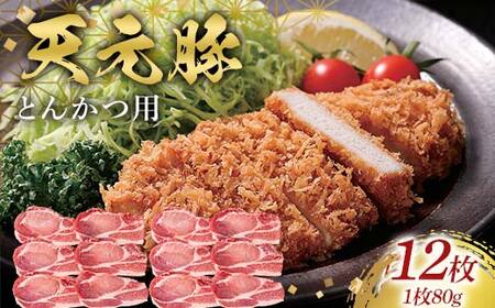 天元豚とんかつ用80g×12 F2Y-6604